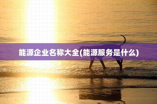 能源企业名称大全(能源服务是什么)
