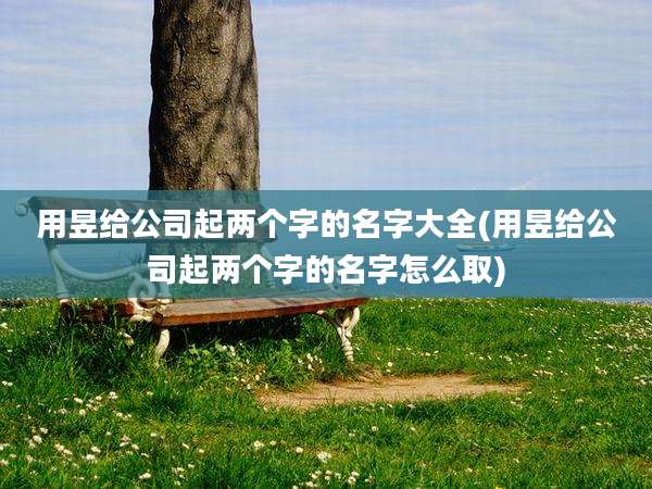 用昱给公司起两个字的名字大全(用昱给公司起两个字的名字怎么取)