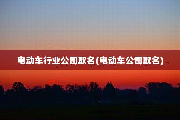 电动车行业公司取名(电动车公司取名)