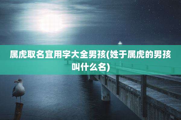 属虎取名宜用字大全男孩(姓于属虎的男孩叫什么名)
