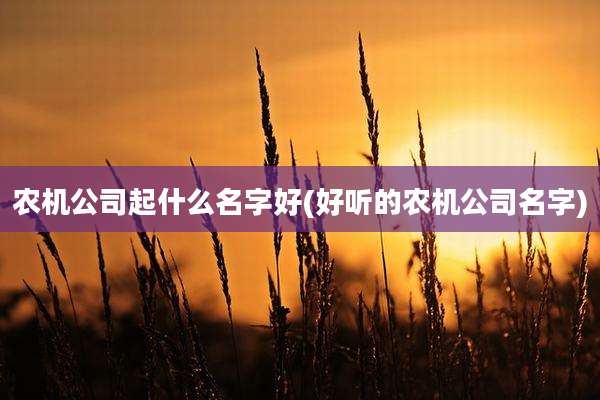 农机公司起什么名字好(好听的农机公司名字)