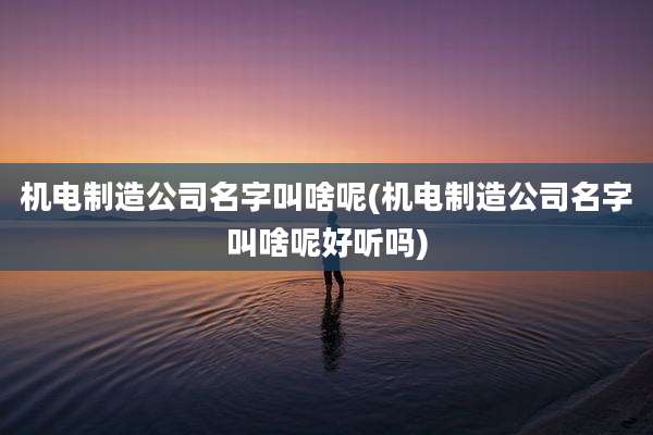 机电制造公司名字叫啥呢(机电制造公司名字叫啥呢好听吗)