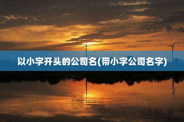 以小字开头的公司名(带小字公司名字)