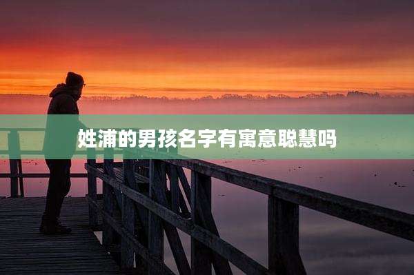 姓浦的男孩名字有寓意聪慧吗