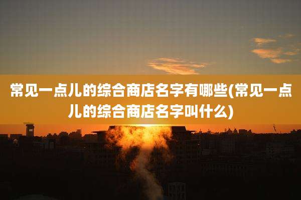 常见一点儿的综合商店名字有哪些(常见一点儿的综合商店名字叫什么)