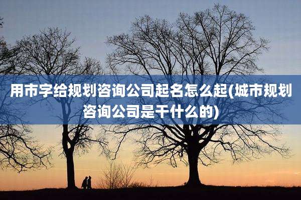用市字给规划咨询公司起名怎么起(城市规划咨询公司是干什么的)