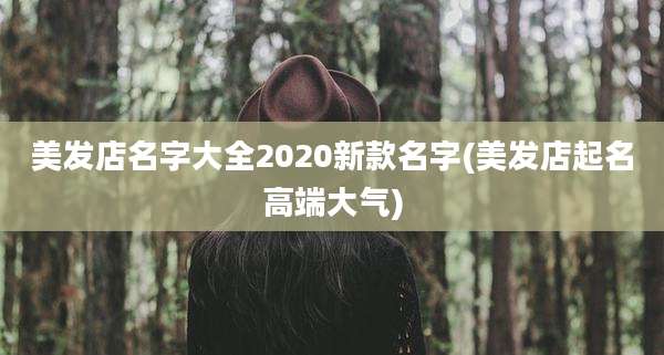 美发店名字大全2020新款名字(美发店起名高端大气)