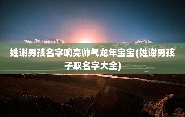姓谢男孩名字响亮帅气龙年宝宝(姓谢男孩子取名字大全)