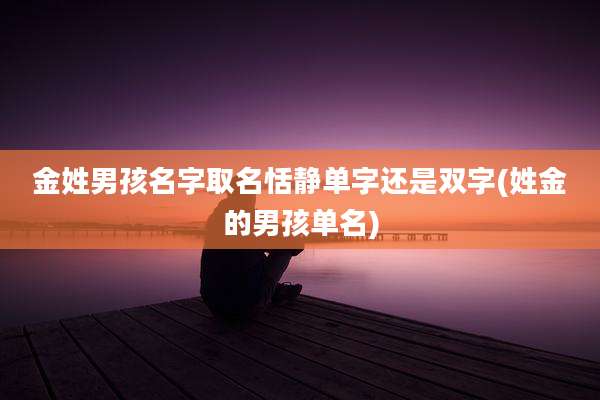 金姓男孩名字取名恬静单字还是双字(姓金的男孩单名)