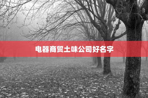 电器商贸土味公司好名字