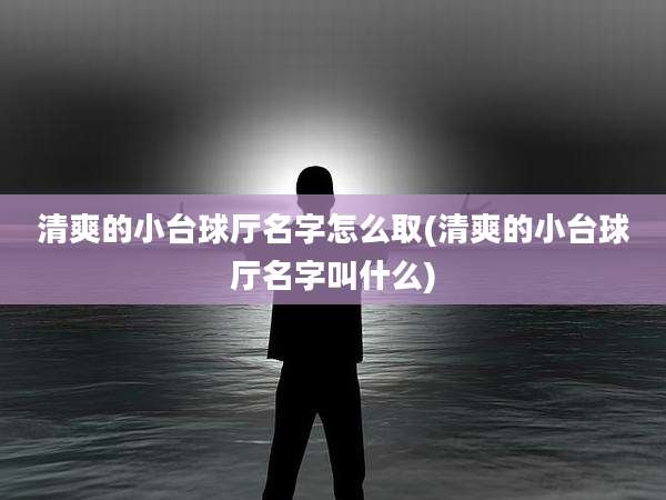 清爽的小台球厅名字怎么取(清爽的小台球厅名字叫什么)