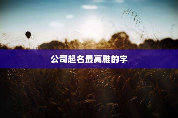 公司起名最高雅的字