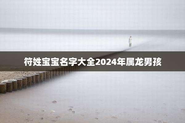 符姓宝宝名字大全2024年属龙男孩