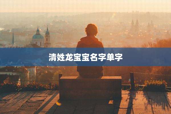 清姓龙宝宝名字单字