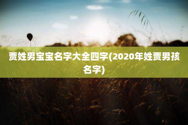 贾姓男宝宝名字大全四字(2020年姓贾男孩名字)