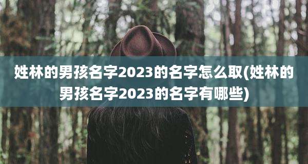 姓林的男孩名字2023的名字怎么取(姓林的男孩名字2023的名字有哪些)