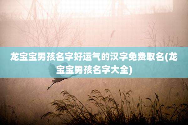 龙宝宝男孩名字好运气的汉字免费取名(龙宝宝男孩名字大全)