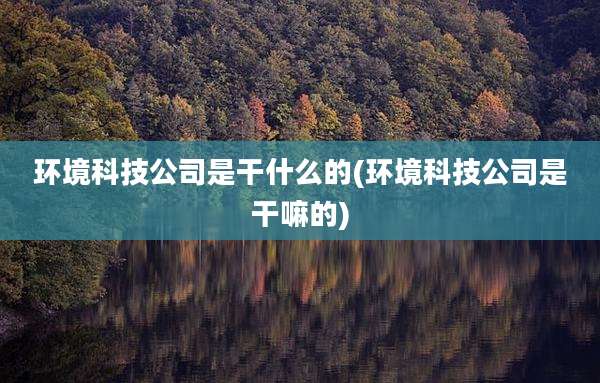 环境科技公司是干什么的(环境科技公司是干嘛的)