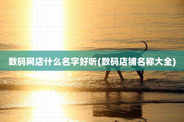 数码网店什么名字好听(数码店铺名称大全)