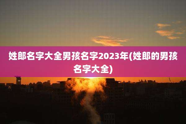 姓郎名字大全男孩名字2023年(姓郎的男孩名字大全)