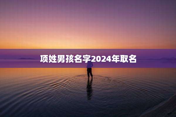 项姓男孩名字2024年取名