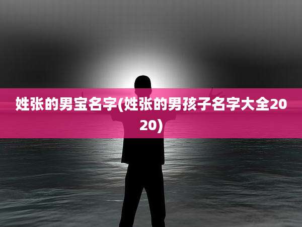姓张的男宝名字(姓张的男孩子名字大全2020)