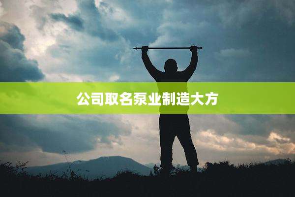 公司取名泵业制造大方