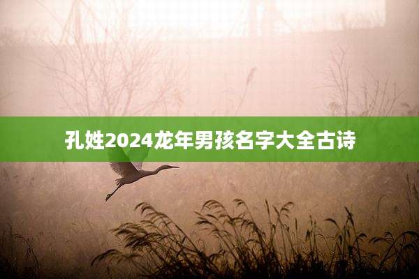 孔姓2024龙年男孩名字大全古诗