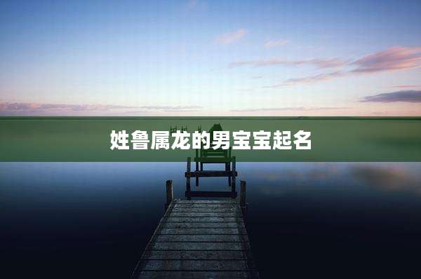 姓鲁属龙的男宝宝起名