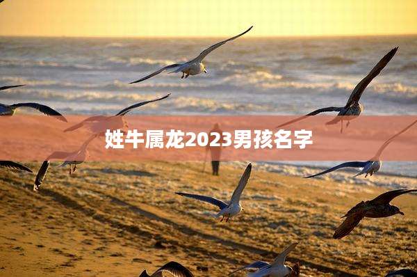 姓牛属龙2023男孩名字