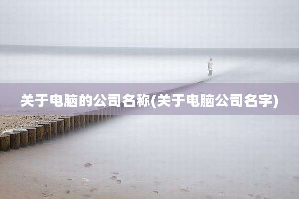 关于电脑的公司名称(关于电脑公司名字)