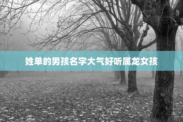 姓单的男孩名字大气好听属龙女孩