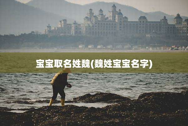 宝宝取名姓魏(魏姓宝宝名字)