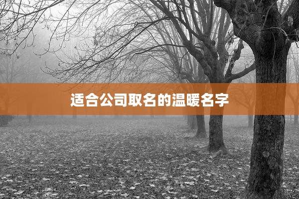 适合公司取名的温暖名字