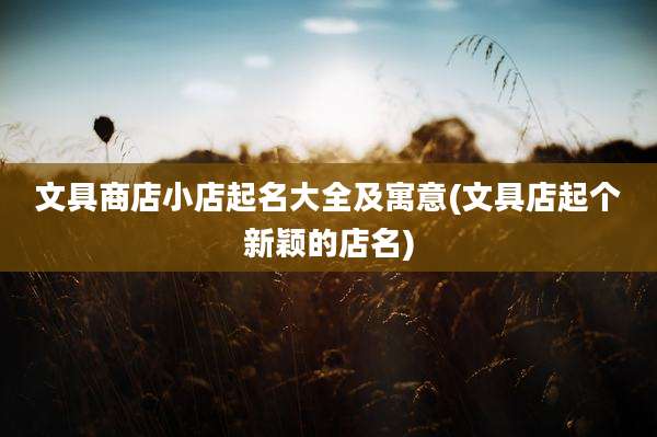 文具商店小店起名大全及寓意(文具店起个新颖的店名)