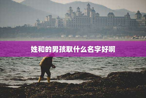 姓和的男孩取什么名字好啊