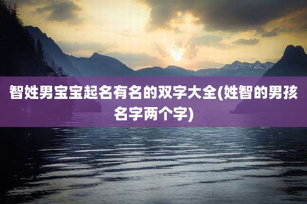 智姓男宝宝起名有名的双字大全(姓智的男孩名字两个字)