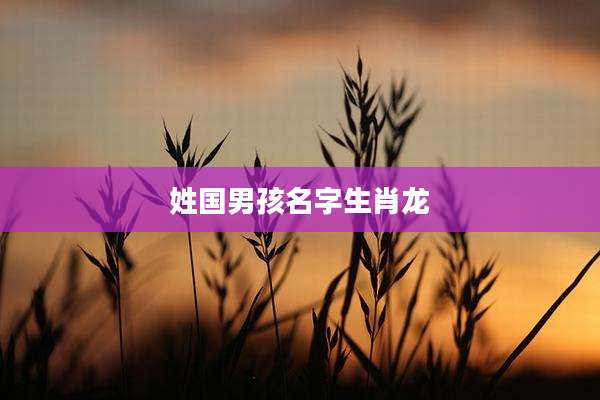 姓国男孩名字生肖龙