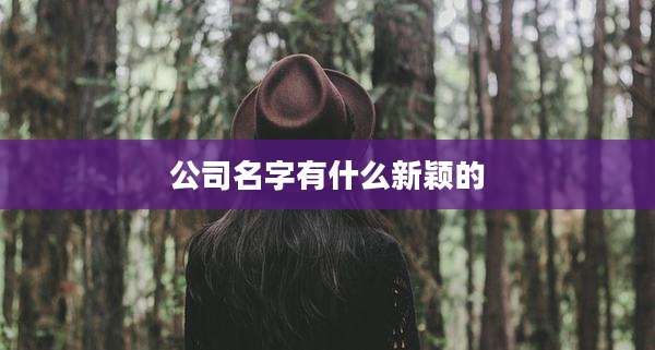 公司名字有什么新颖的