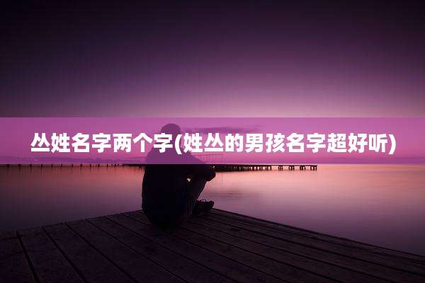 丛姓名字两个字(姓丛的男孩名字超好听)