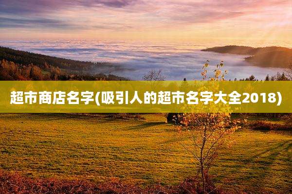 超市商店名字(吸引人的超市名字大全2018)