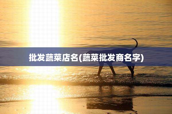 批发蔬菜店名(蔬菜批发商名字)
