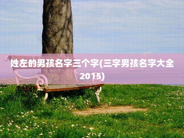 姓左的男孩名字三个字(三字男孩名字大全2015)