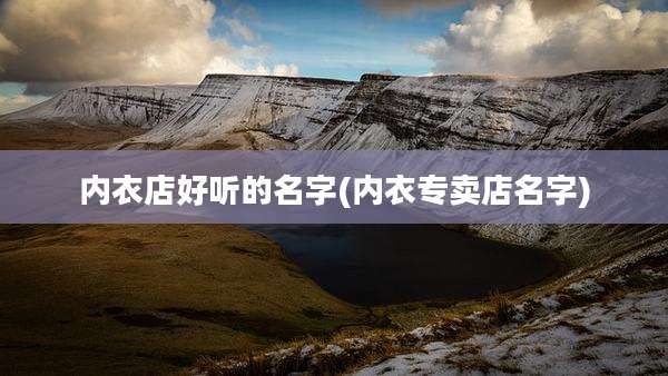 内衣店好听的名字(内衣专卖店名字)