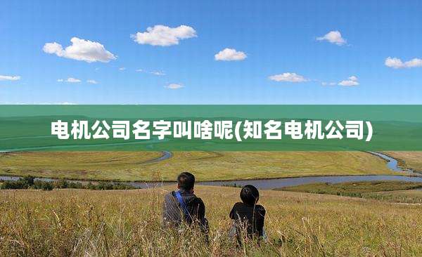 电机公司名字叫啥呢(知名电机公司)