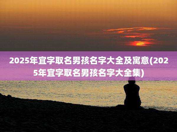 2025年宜字取名男孩名字大全及寓意(2025年宜字取名男孩名字大全集)