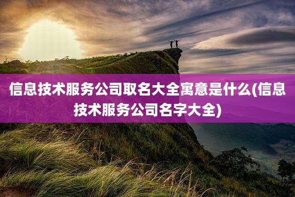 信息技术服务公司取名大全寓意是什么(信息技术服务公司名字大全)