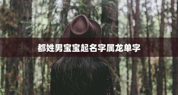 都姓男宝宝起名字属龙单字