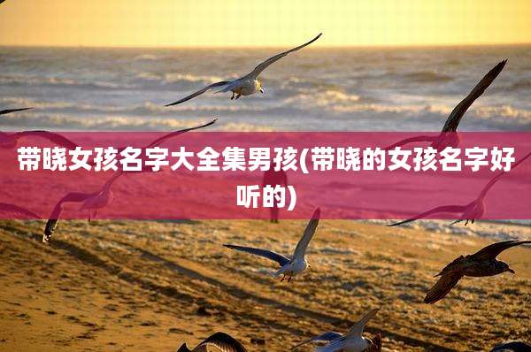 带晓女孩名字大全集男孩(带晓的女孩名字好听的)