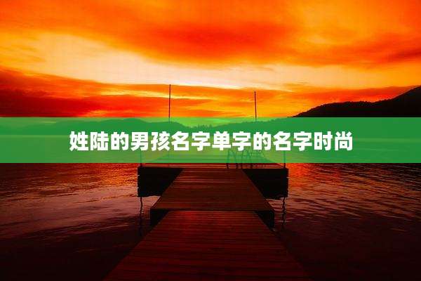 姓陆的男孩名字单字的名字时尚
